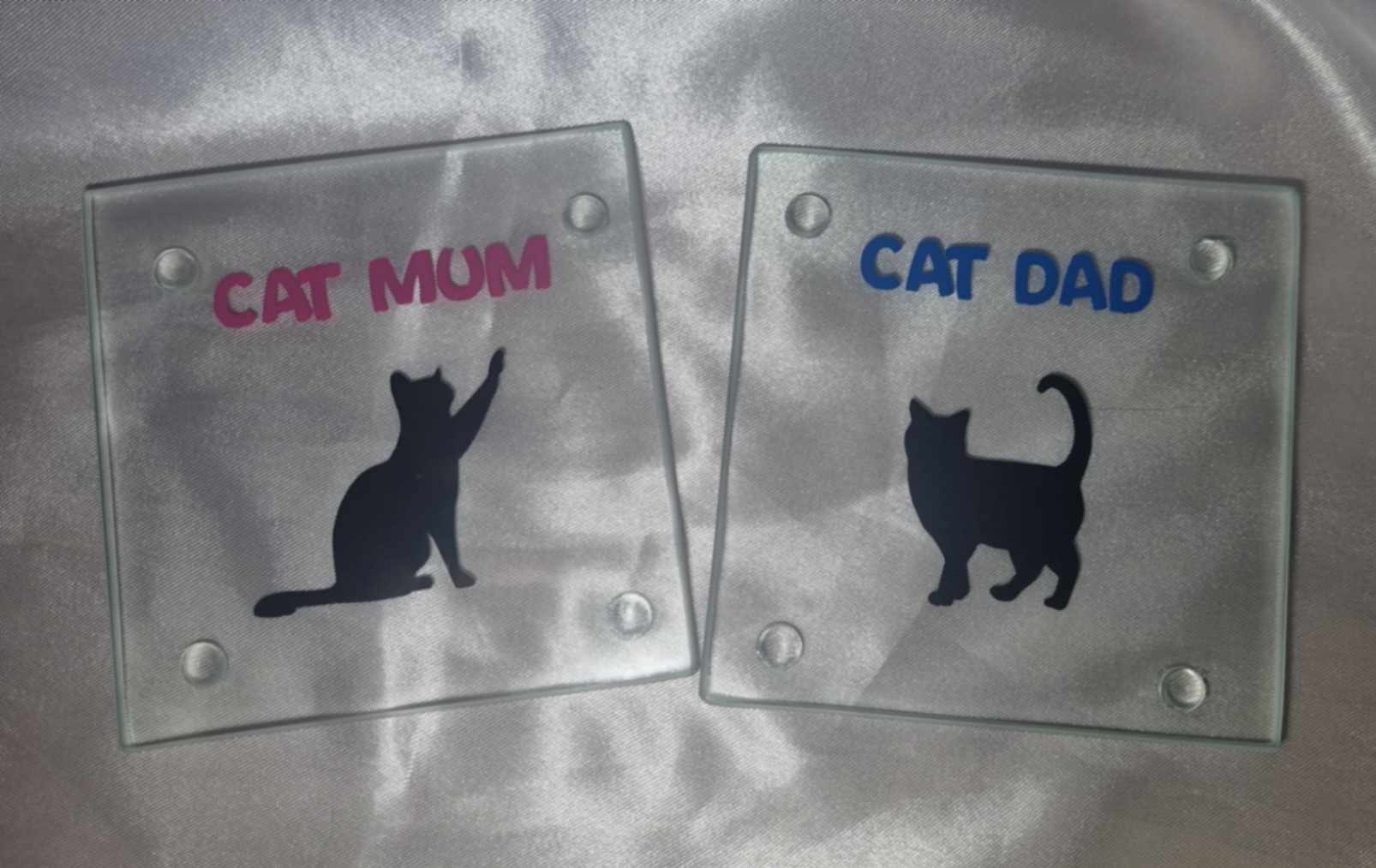 Cats Protection Glass Coaster