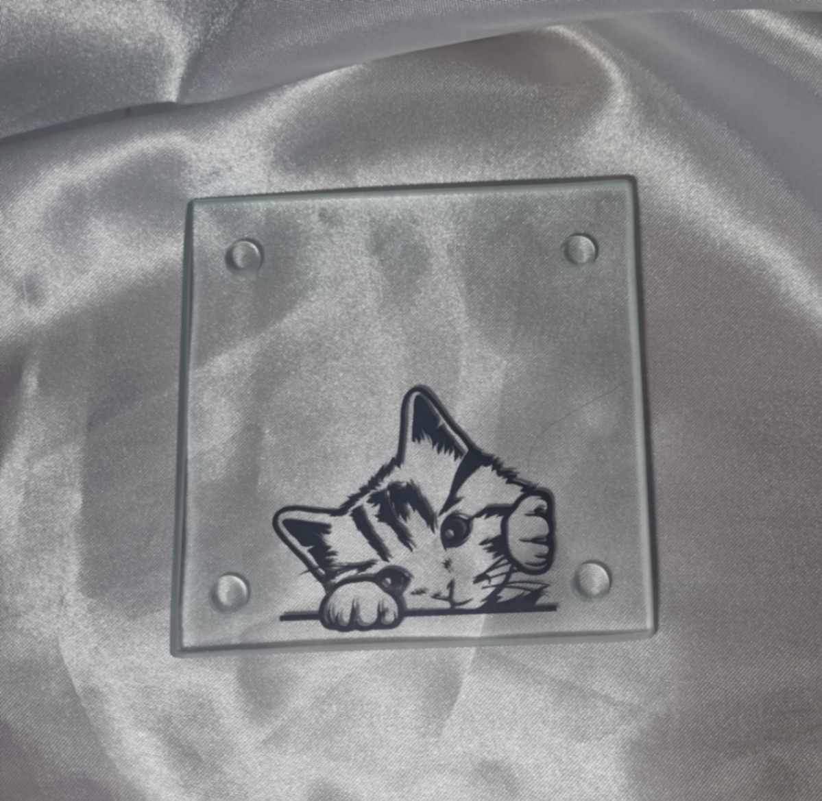 Cats Protection Glass Coaster